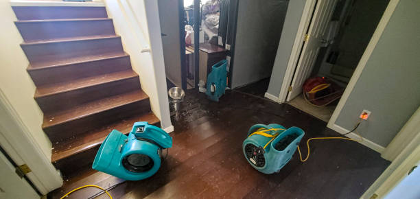 Best Mold removal after water damage  in Rmichael, CA