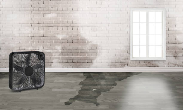 Carpet water damage restoration in Carmichael, CA